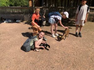 IMG-20250625-WA0003
